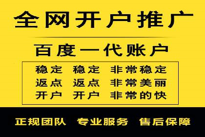 SEM搜索引擎优化：广告创意的策划与执行